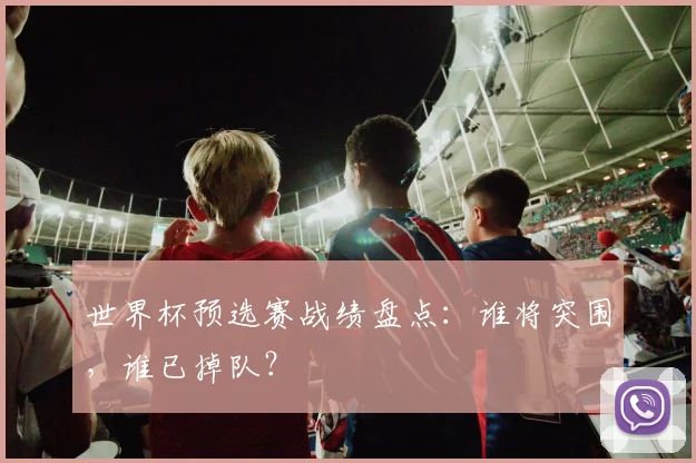 世界杯预选赛战绩盘点：谁将突围，谁已掉队？