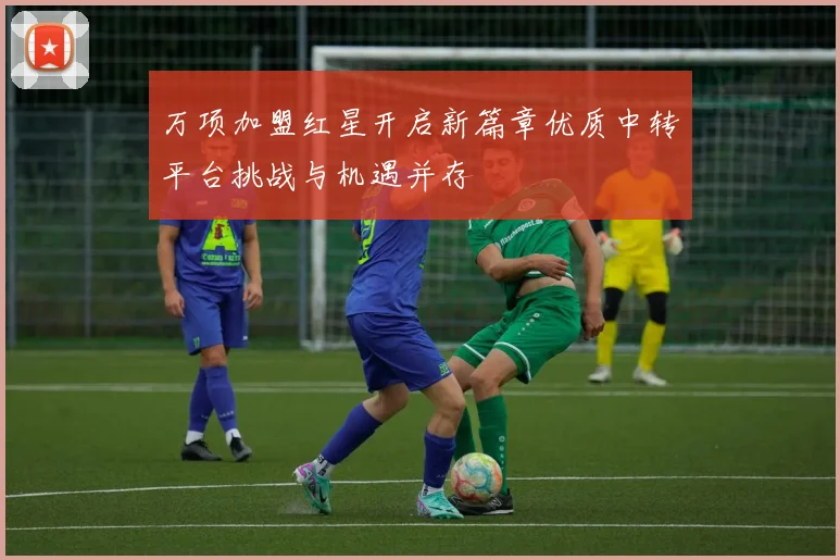 万项加盟红星开启新篇章优质中转平台挑战与机遇并存
