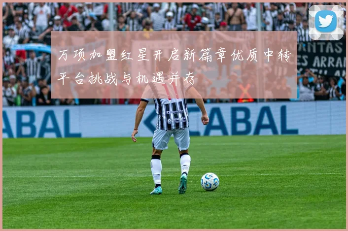 万项加盟红星开启新篇章优质中转平台挑战与机遇并存
