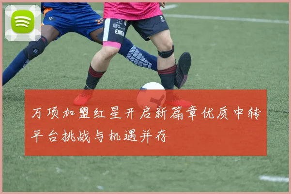 万项加盟红星开启新篇章优质中转平台挑战与机遇并存