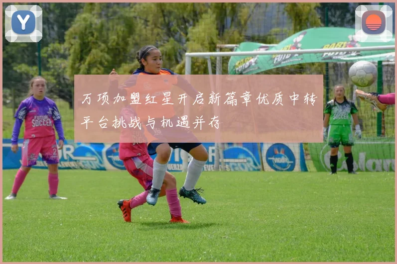 万项加盟红星开启新篇章优质中转平台挑战与机遇并存