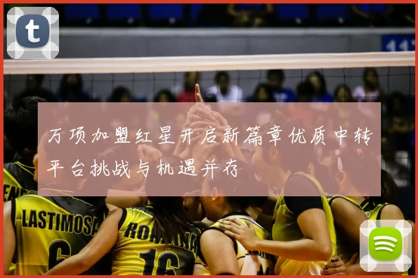 万项加盟红星开启新篇章优质中转平台挑战与机遇并存