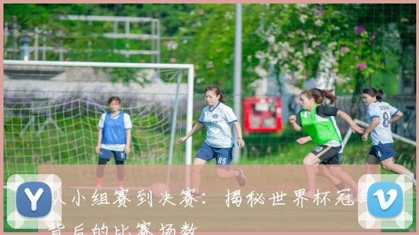 从小组赛到决赛：揭秘世界杯冠军背后的比赛场数