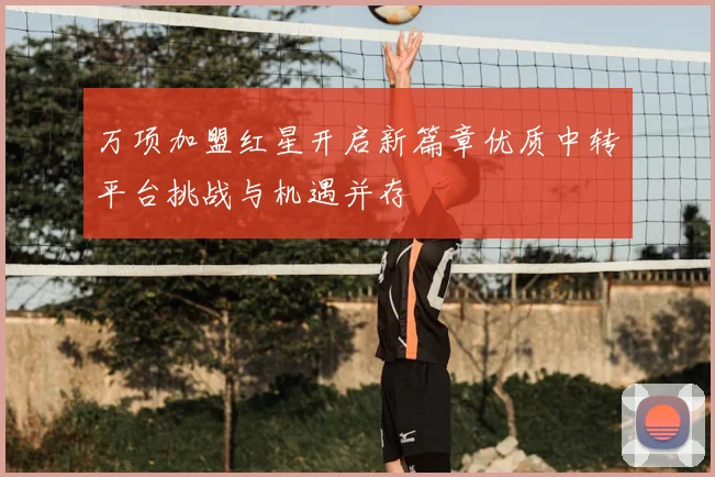 万项加盟红星开启新篇章优质中转平台挑战与机遇并存
