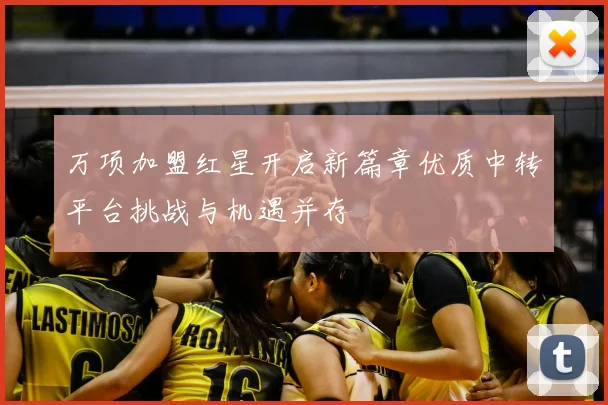 万项加盟红星开启新篇章优质中转平台挑战与机遇并存
