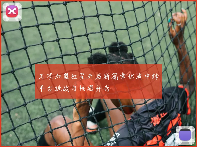 万项加盟红星开启新篇章优质中转平台挑战与机遇并存