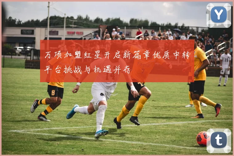 万项加盟红星开启新篇章优质中转平台挑战与机遇并存