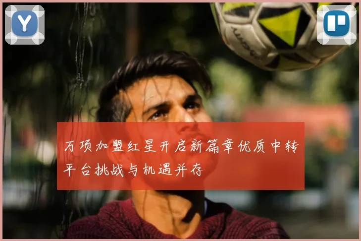 万项加盟红星开启新篇章优质中转平台挑战与机遇并存