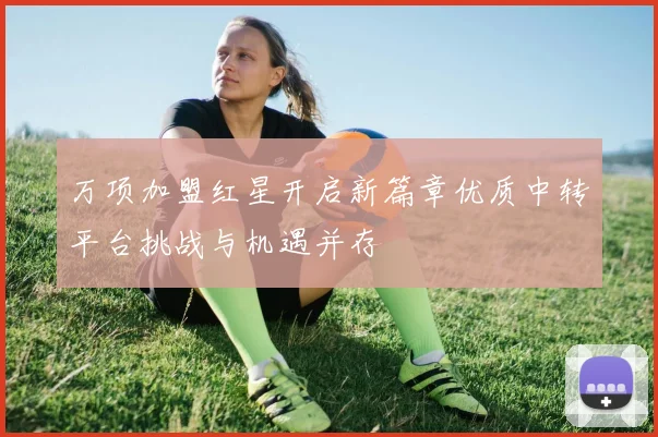 万项加盟红星开启新篇章优质中转平台挑战与机遇并存
