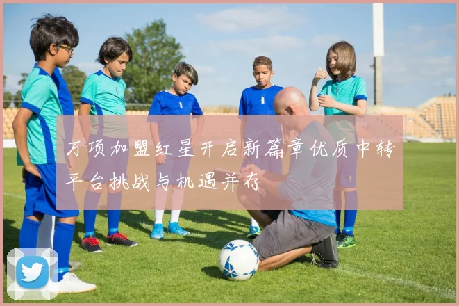 万项加盟红星开启新篇章优质中转平台挑战与机遇并存