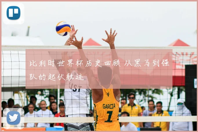 比利时世界杯历史回顾 从黑马到强队的起伏轨迹