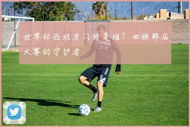 世界杯西班牙门将是谁？回顾那届大赛的守护者