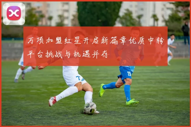万项加盟红星开启新篇章优质中转平台挑战与机遇并存