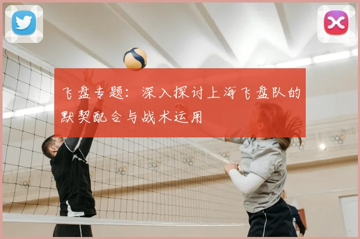 飞盘专题：深入探讨上海飞盘队的默契配合与战术运用