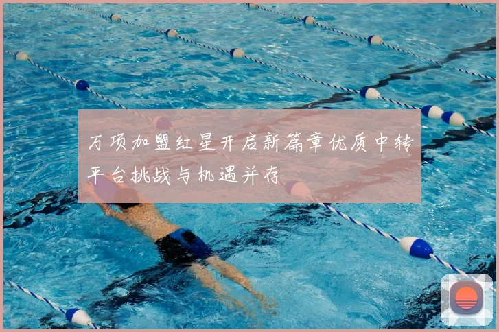 万项加盟红星开启新篇章优质中转平台挑战与机遇并存