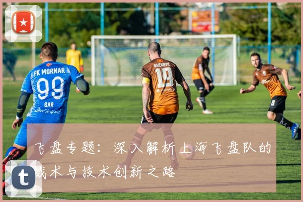 飞盘专题：深入解析上海飞盘队的战术与技术创新之路