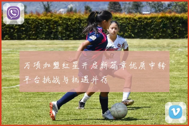 万项加盟红星开启新篇章优质中转平台挑战与机遇并存