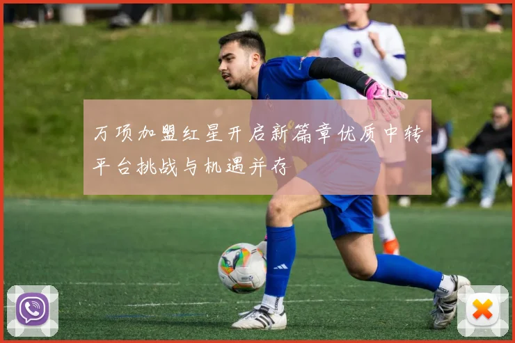 万项加盟红星开启新篇章优质中转平台挑战与机遇并存
