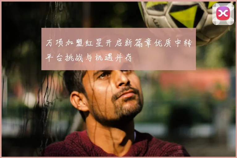 万项加盟红星开启新篇章优质中转平台挑战与机遇并存