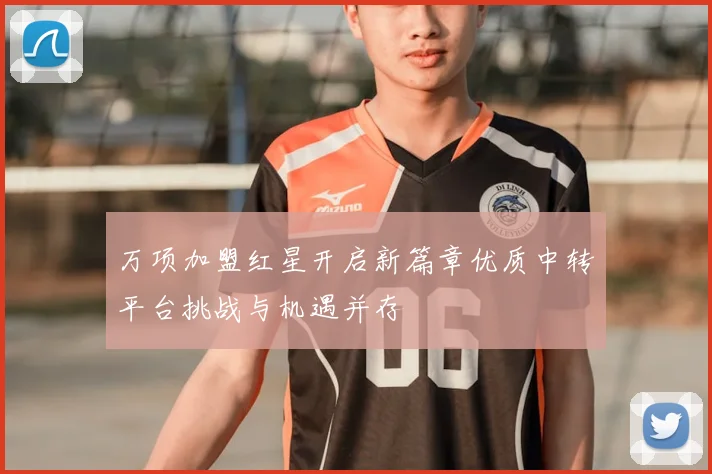万项加盟红星开启新篇章优质中转平台挑战与机遇并存