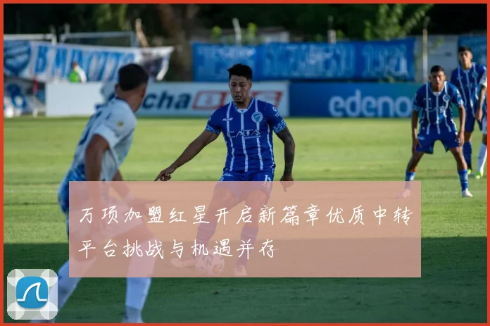 万项加盟红星开启新篇章优质中转平台挑战与机遇并存