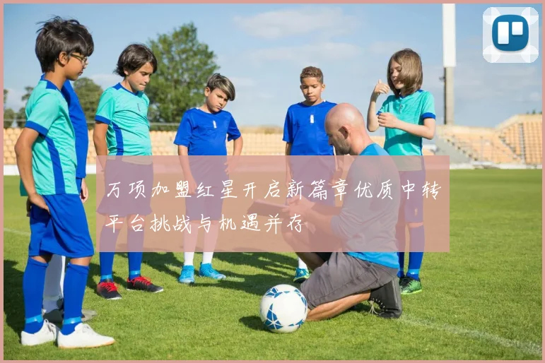 万项加盟红星开启新篇章优质中转平台挑战与机遇并存
