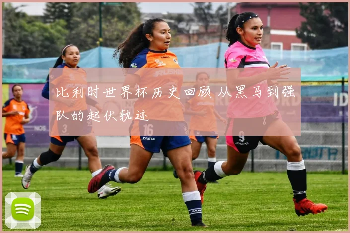 比利时世界杯历史回顾 从黑马到强队的起伏轨迹