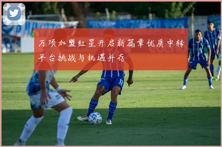 万项加盟红星开启新篇章优质中转平台挑战与机遇并存