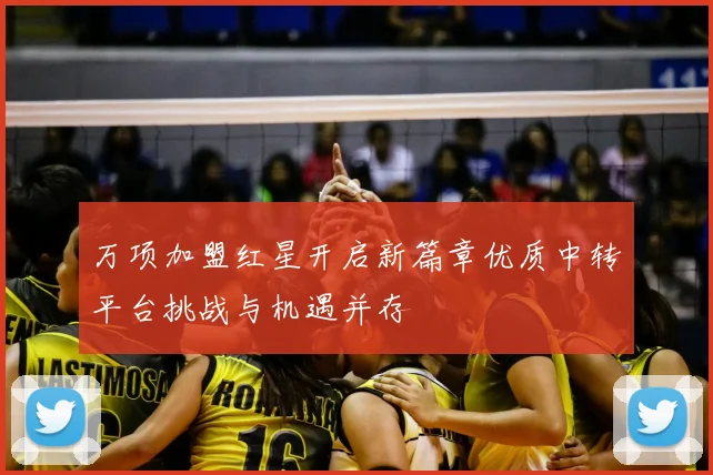 万项加盟红星开启新篇章优质中转平台挑战与机遇并存