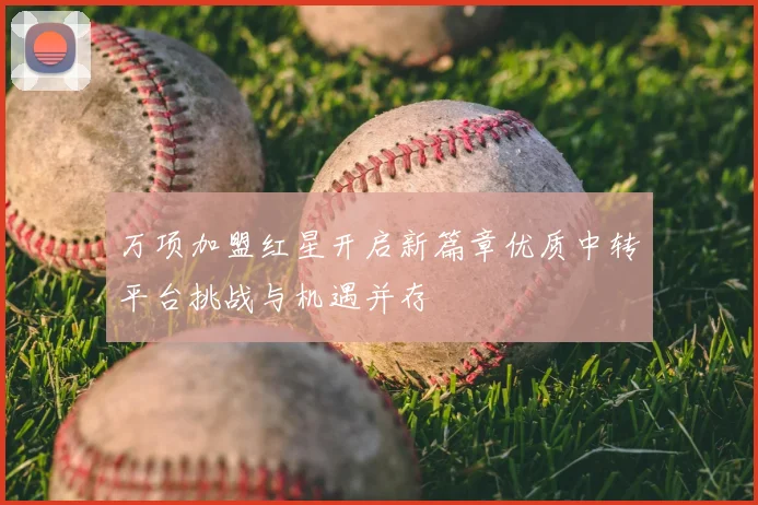 万项加盟红星开启新篇章优质中转平台挑战与机遇并存