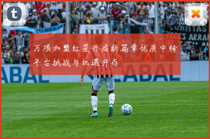 万项加盟红星开启新篇章优质中转平台挑战与机遇并存