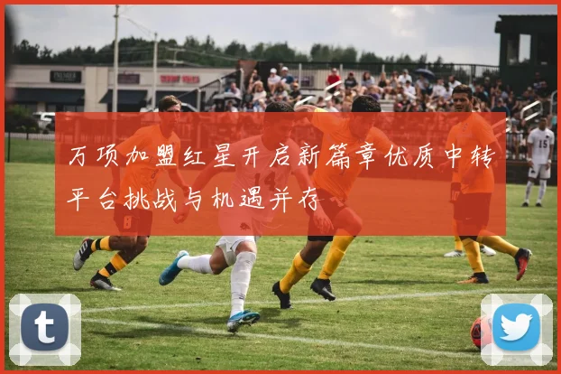 万项加盟红星开启新篇章优质中转平台挑战与机遇并存