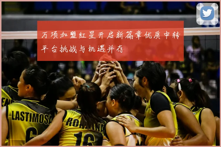 万项加盟红星开启新篇章优质中转平台挑战与机遇并存