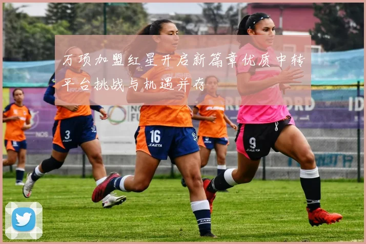 万项加盟红星开启新篇章优质中转平台挑战与机遇并存