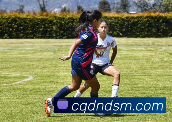 九游会·j9官网平台生态图